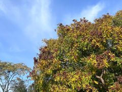 -长椿街(地铁站)