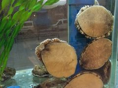 -富临港·蒸汽海鲜·手抓海鲜·炒菜(栈桥店)