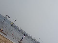 -碧海金沙