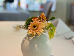 -蝶舍·MAISON PAPILLON