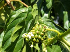 -三亚南山文化旅游区