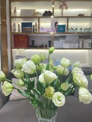 -MIDA蜜哒•科技逆龄美肤连锁