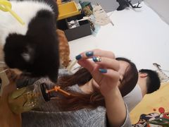 -平行世界·猫咖(首经贸店)