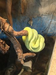 -Zoolung Zoolung动物主题公园(海信广场店)