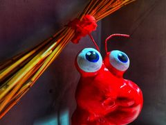 -王红军龙虾(盐仓桥店)