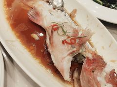 -上海圣淘沙万怡酒店