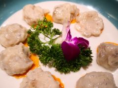 -青瓷火锅料理(西单大悦城店)