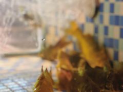 -格塘人家·山泉水煮鱼(望兴家园店)