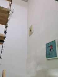 -净妍美肌专业净毛嫩肤连锁机构