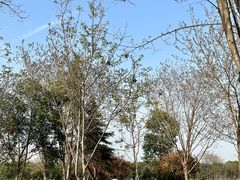 -汉长安城未央宫国家考古遗址公园