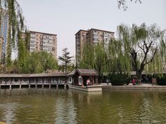 -团结湖公园