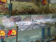-良昌老味·海南老字号