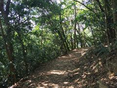 -狮子山郊野公园