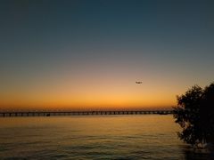 -宝安西湾红树林湿地公园