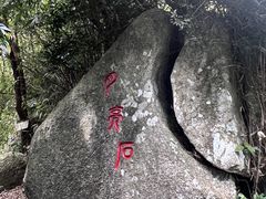 -海南铜鼓岭景区
