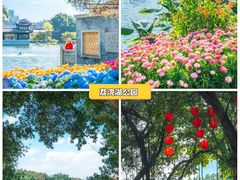 -荔湾湖公园
