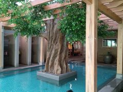 -御池园(顾村公园店)