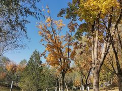 -瀛海足球主题公园