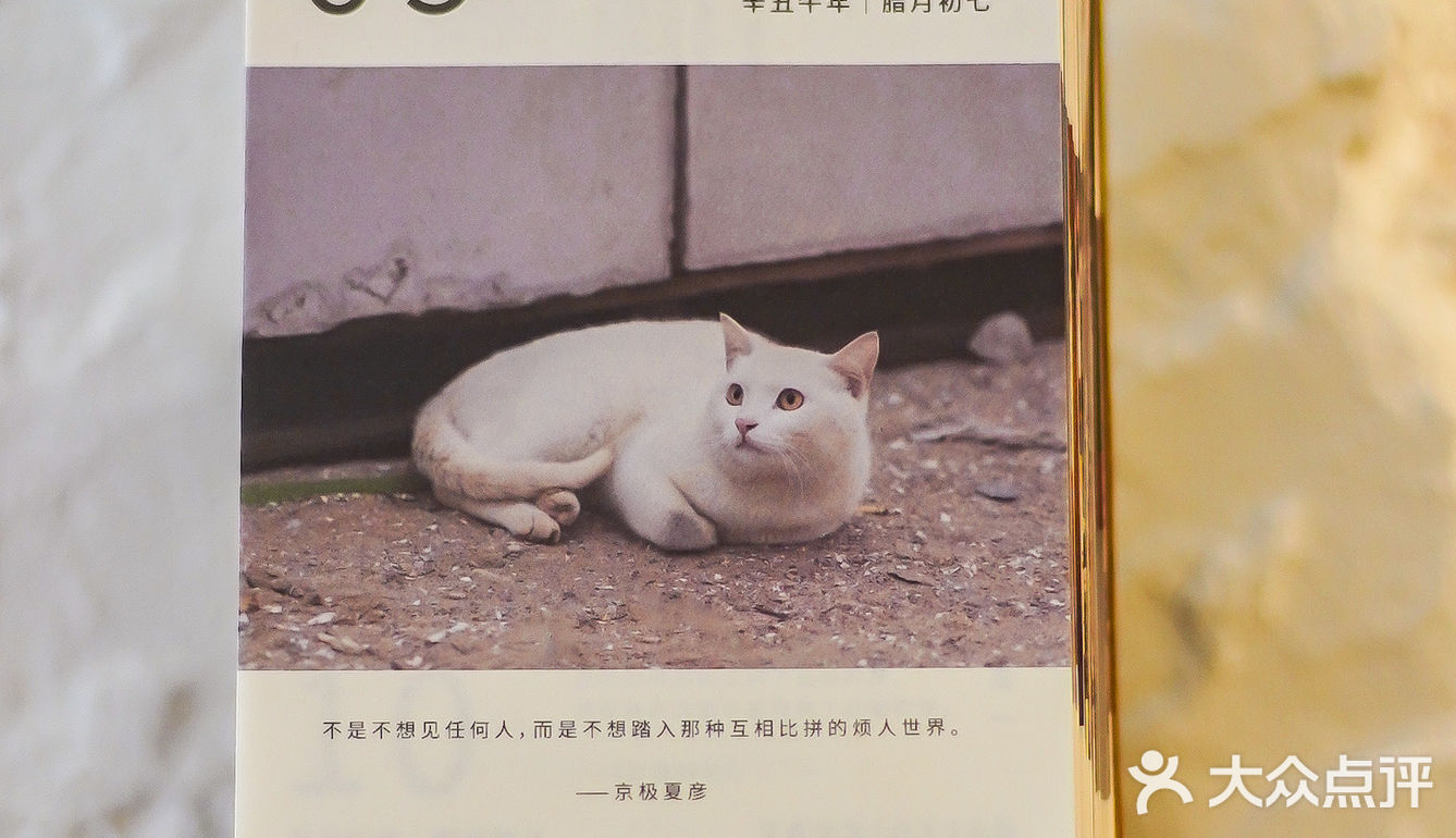 深圳新店·又来喜柿咖啡喝虎头拉花拿铁