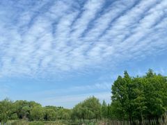 -贡湖湾湿地公园