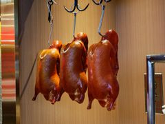 -宏宴·新京菜(望京店)