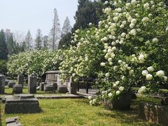 -明故宫遗址公园