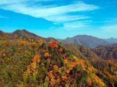 -秦岭风景区