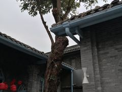 -三联韬奋书店(宽窄巷子店)
