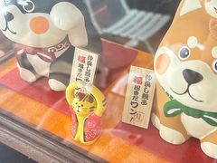 -柴犬高等学院·狗咖·柴犬售卖·宠物训练