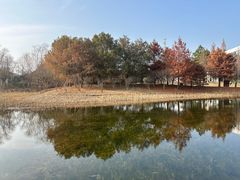 -同里国家湿地公园