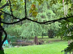 -华南国家植物园-售票处