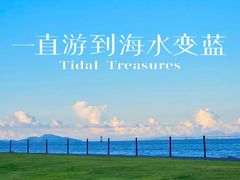 -野狸岛