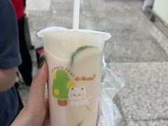 -猫的魔法密林(衣裳街店)