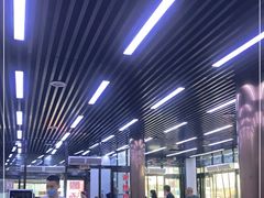 -回坊马二饺子馆