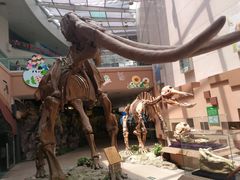 -陕西自然博物馆