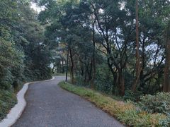 -广州市帽峰山景区