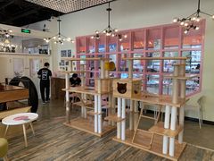 大堂-喵匠猫主题咖啡(凯德和平广场店)