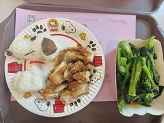 -史努比缤纷世界