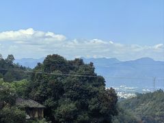 -杨家堂村