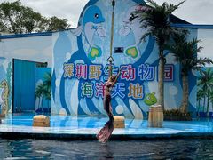 -深圳野生动物园