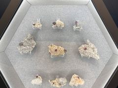 -贵州省地质博物馆