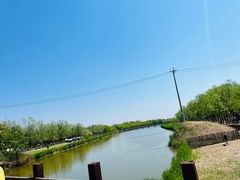 -西青郊野公园