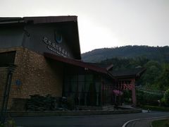 -中铁花水湾温泉酒店(大邑店)