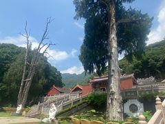 -灵光寺