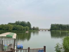 -大兴滨河森林公园