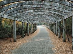 -上海海湾国家森林公园