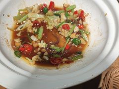 -鸽子窝(青塔店)