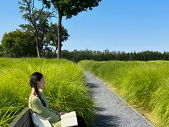 -汉长安城未央宫国家考古遗址公园