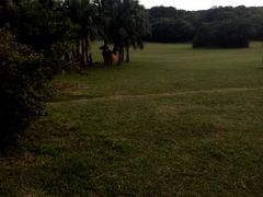 -鹅銮鼻公园