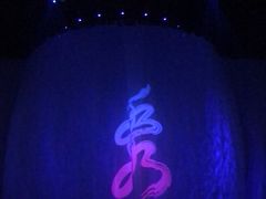 -水秀国际大剧院